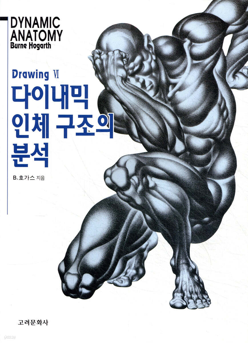 다이내믹 인체 구조의 분석