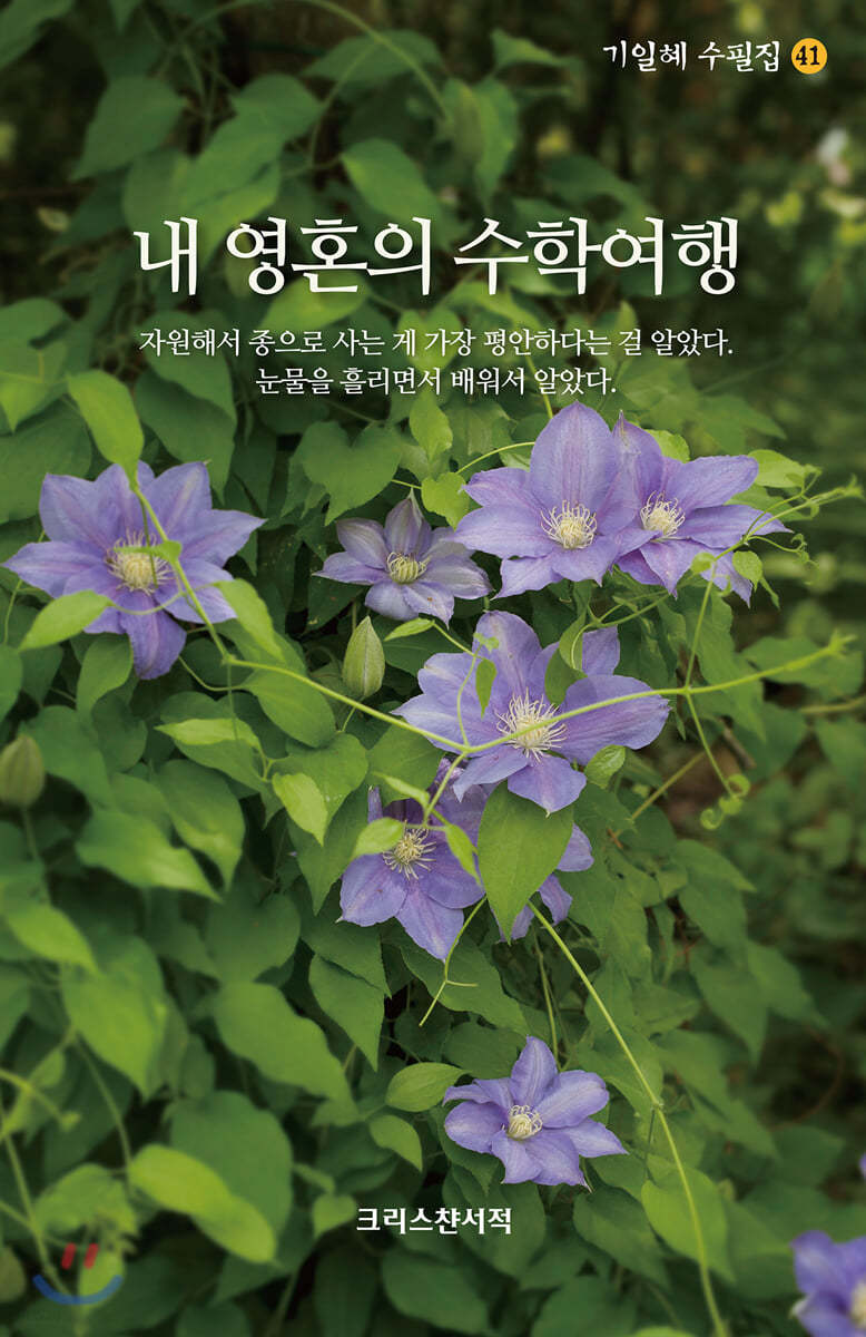 내 영혼의 수학여행