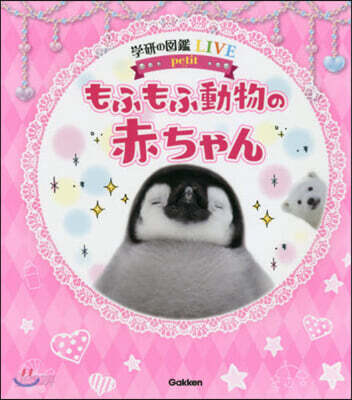 もふもふ動物の赤ちゃん