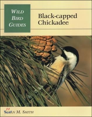 Wild Bird Guide: Black-Capped Chickadee