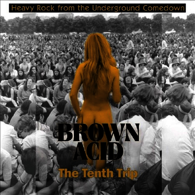 Various Artists — Brown Acid - The Tenth Trip 앨범 커버