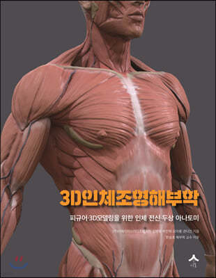 3D 인체 조형 해부학