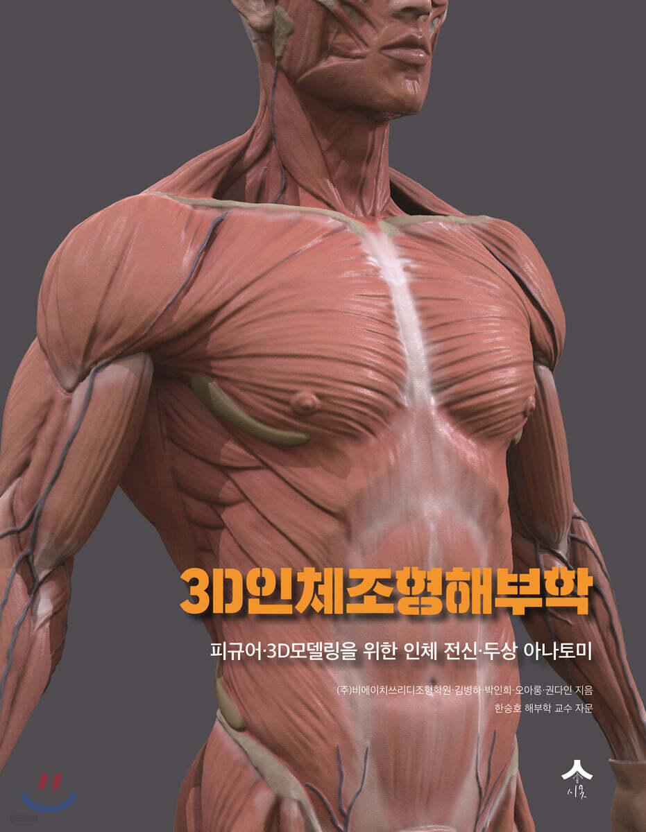 3D 인체 조형 해부학