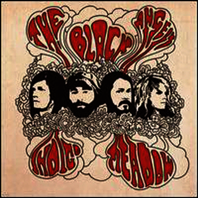 Black Angels — Indigo Meadow 앨범 커버