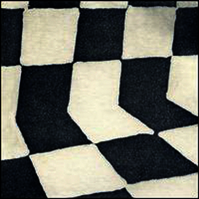 Ducktails — Flower Lane (Download Code) 앨범 커버