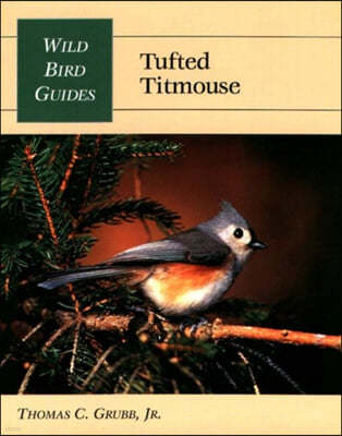 Tufted Titmouse