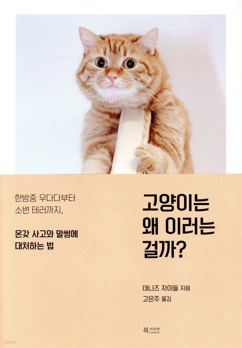 고양이는 왜 이러는 걸까?