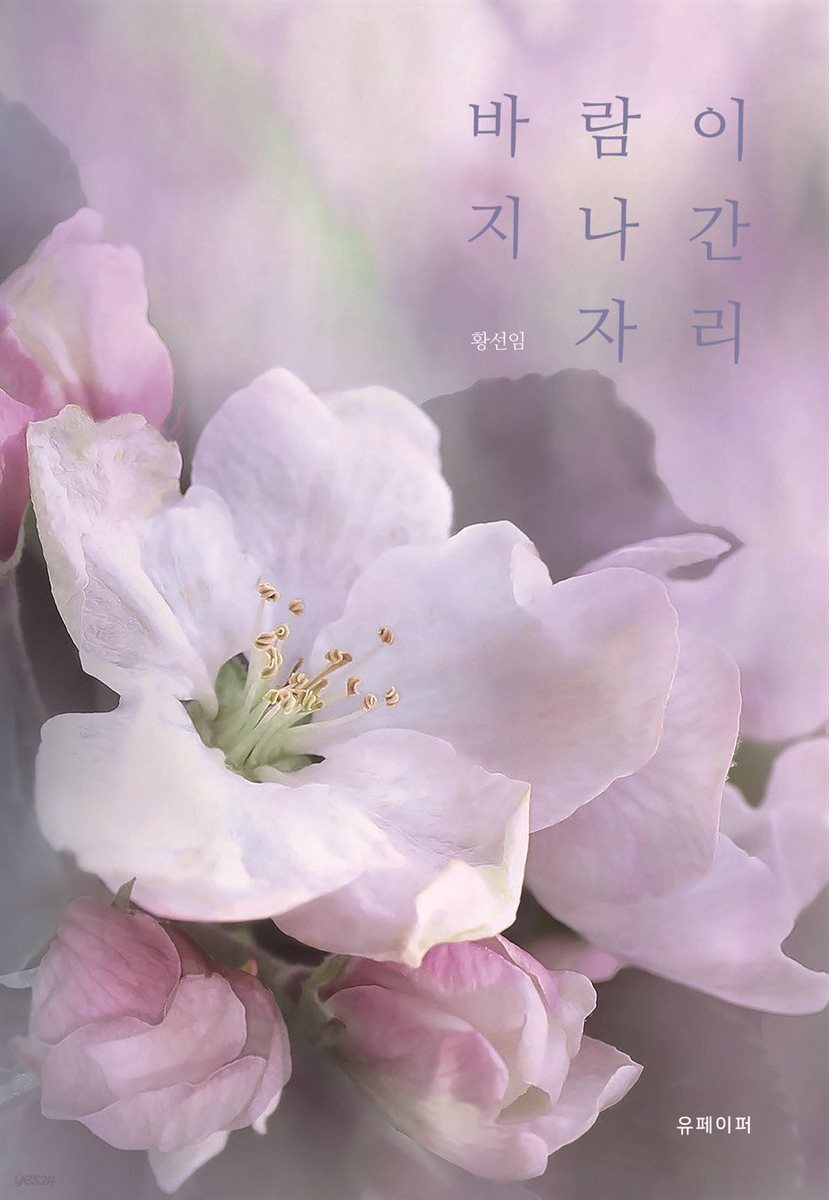 바람이 지나간 자리