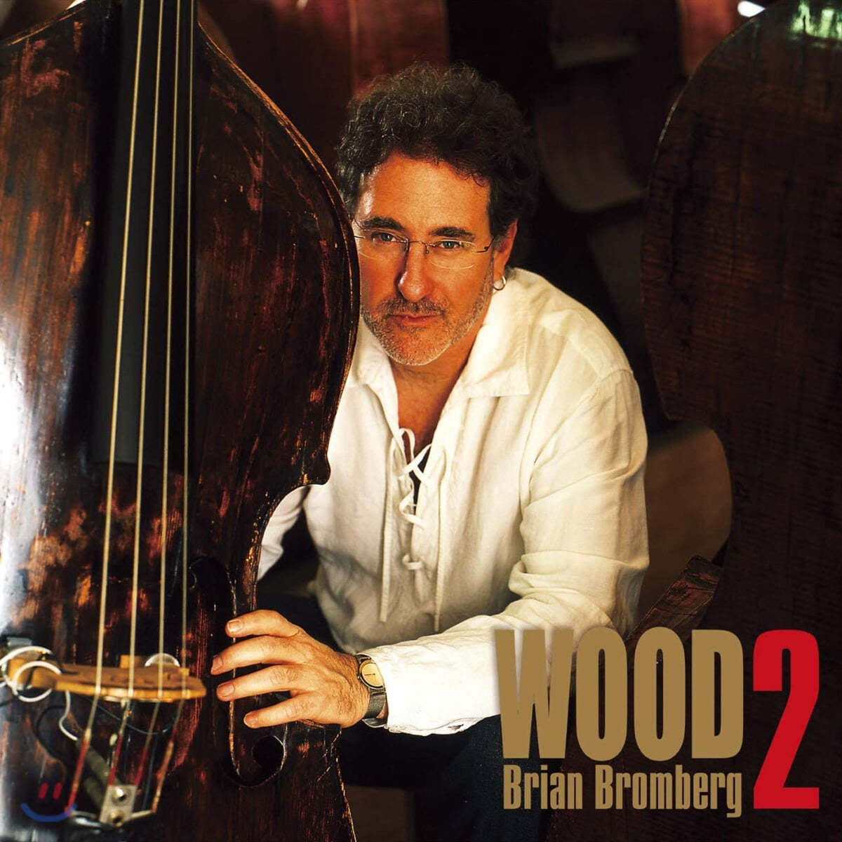 Brian Bromberg (브라이언 브롬버그) - Wood 2 [2LP]