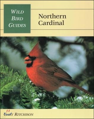 Wild Bird Guide: Northern Cardinal