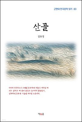 책 정보