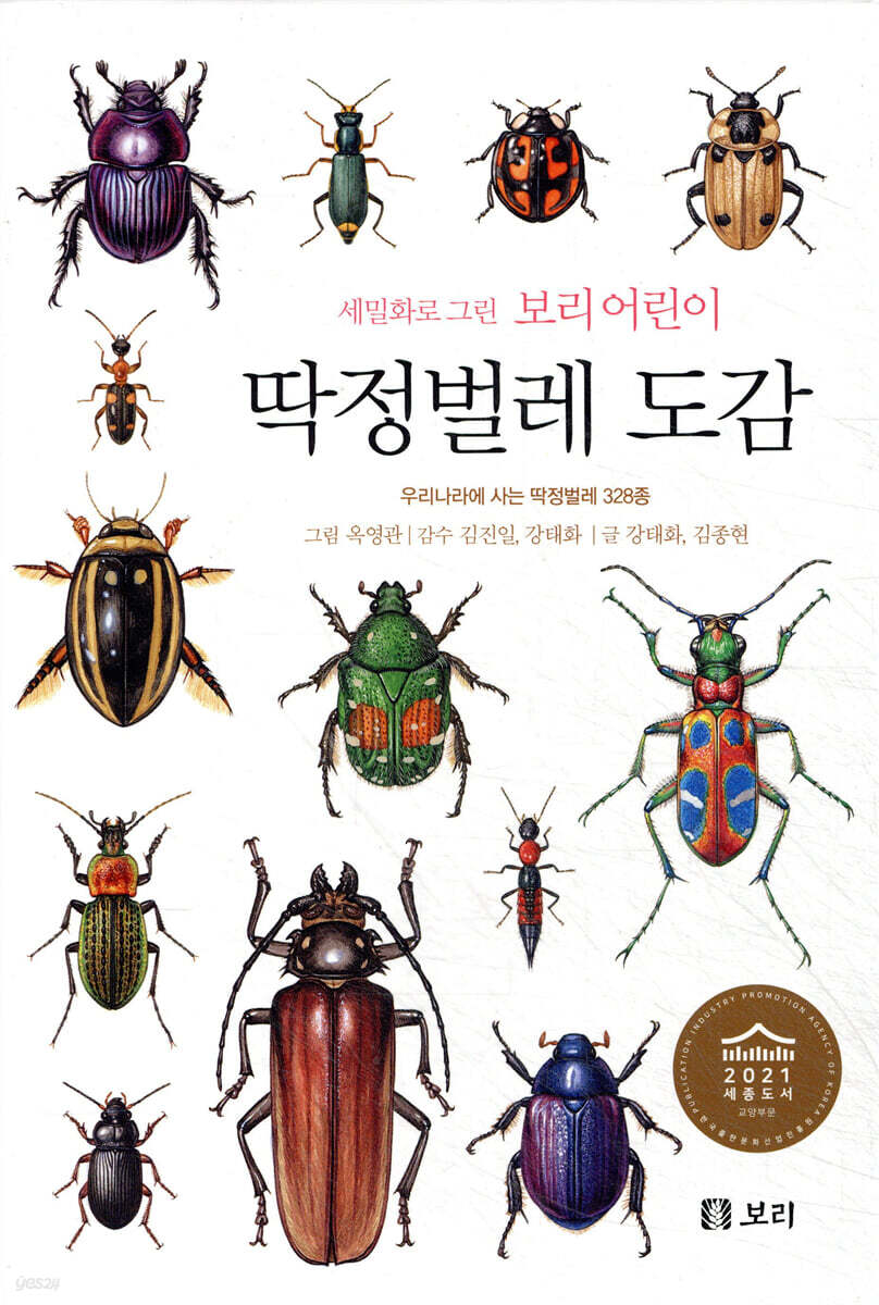 딱정벌레 도감 :세밀화로 그린 보리 어린이 도감