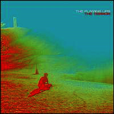 Flaming Lips - Terror (2LP)