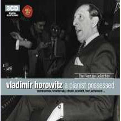 Vladimir Horowitz - the beloved piano - Vladimir Horowitz