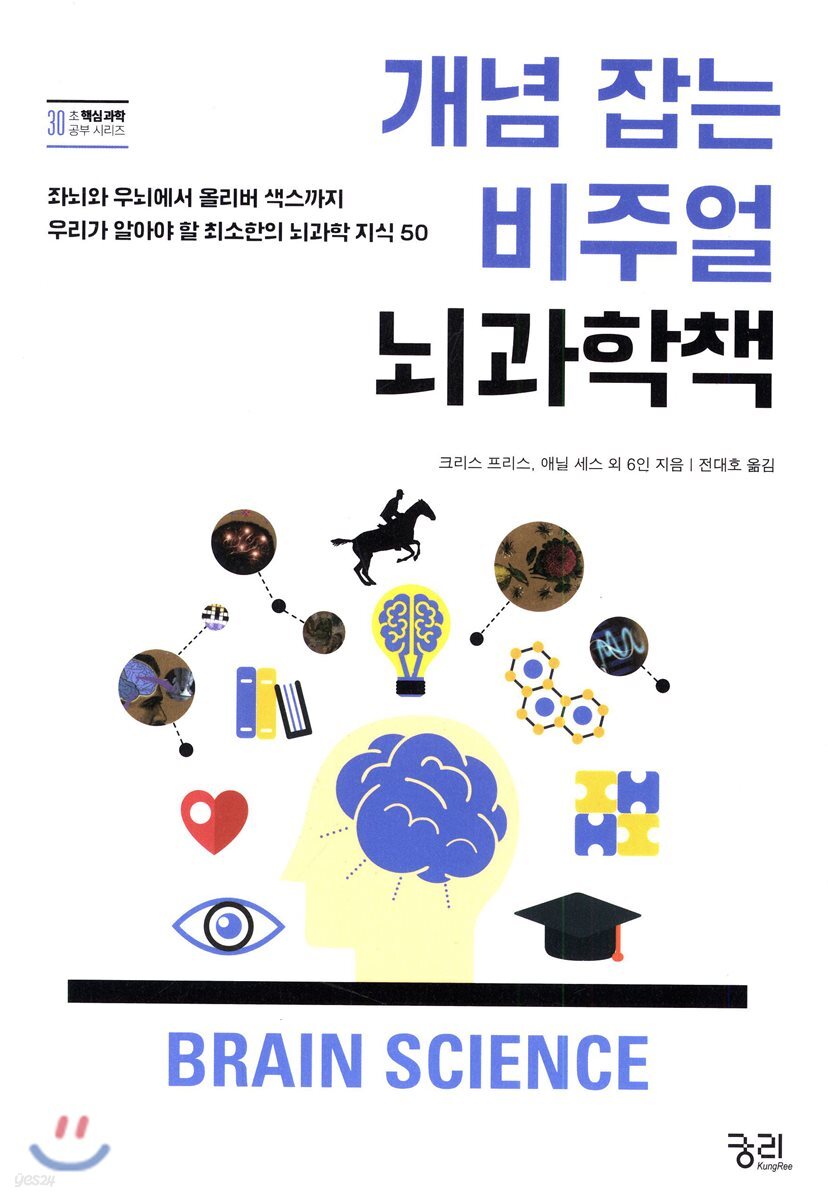 개념 잡는 비주얼 뇌과학책