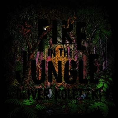 Oliver Koletzki — Fire In The Jungle 앨범 커버