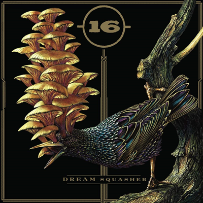 16 - Dream Squasher (CD)