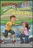 Ballpark Mysteries #8 : The Missing Marlin