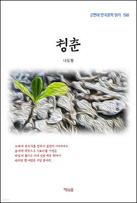 나도향 청춘 (근현대 한국문학 읽기 158)