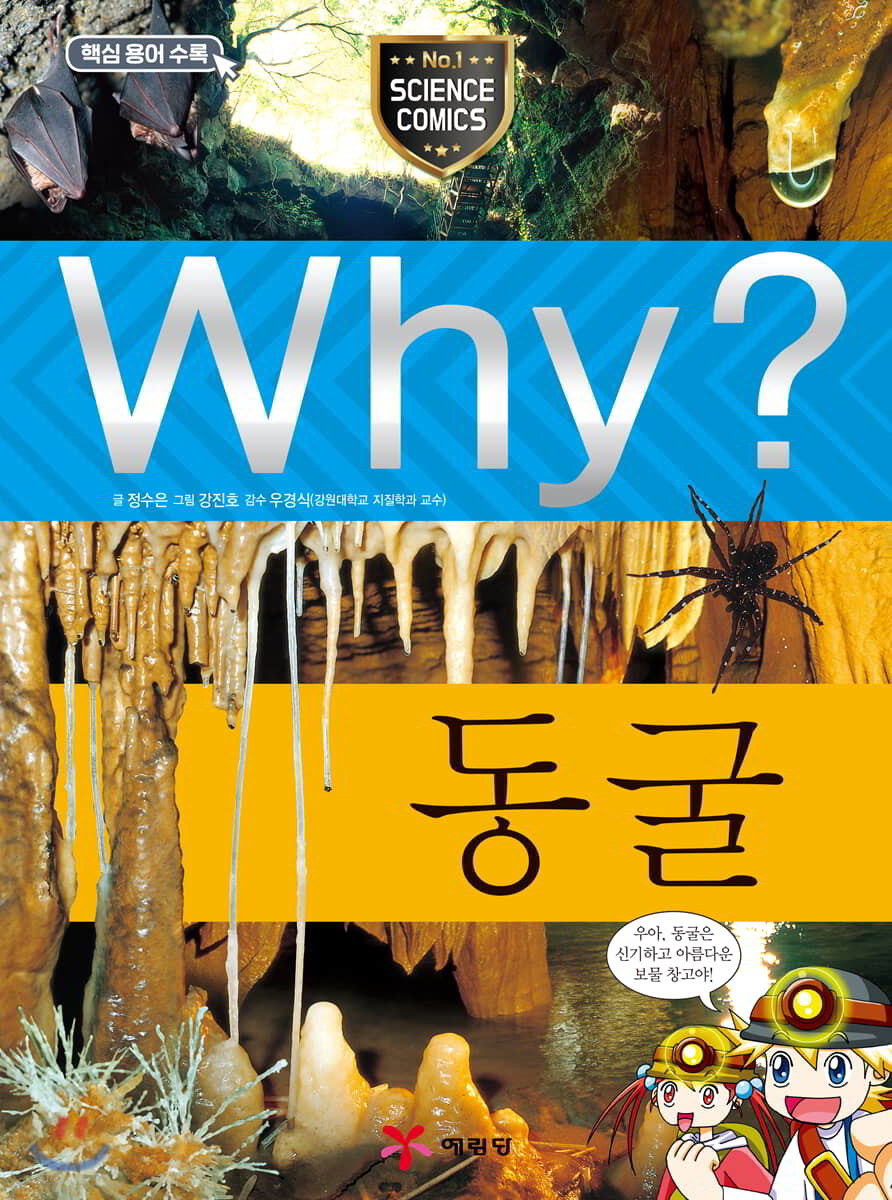 Why? 와이 동굴