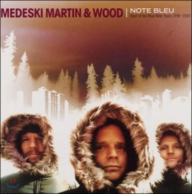 Medeski Martin & Wood — Best Of The Blue Note Years 앨범 커버
