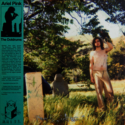 Ariel Pink — The Doldrums (Remastered) 앨범 커버