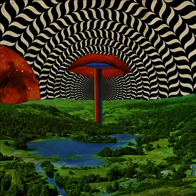 Various Artists — Jazz Dispensary: The Dank D-Funk Blend 앨범 커버