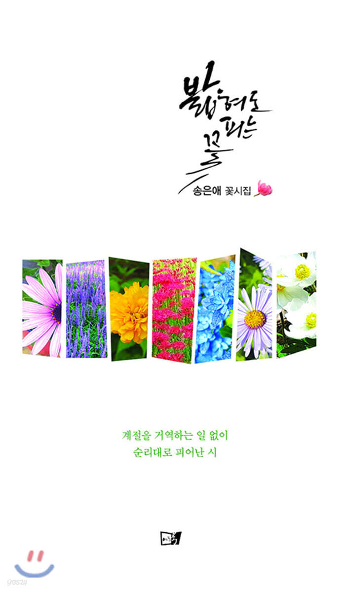 밟혀도 피는 꽃