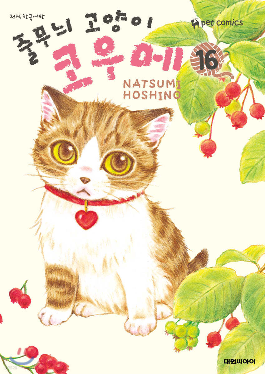 줄무늬 고양이 코우메 16