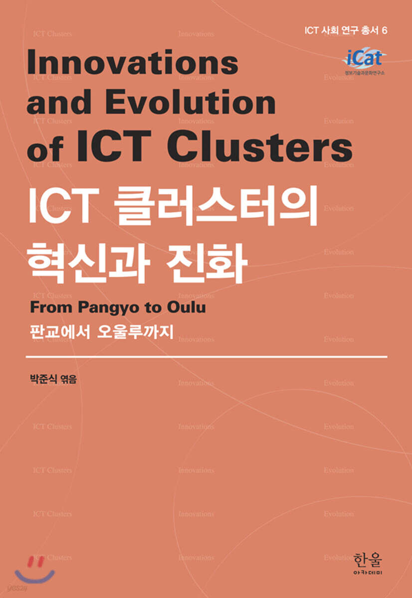 ICT 클러스터의 혁신과 진화