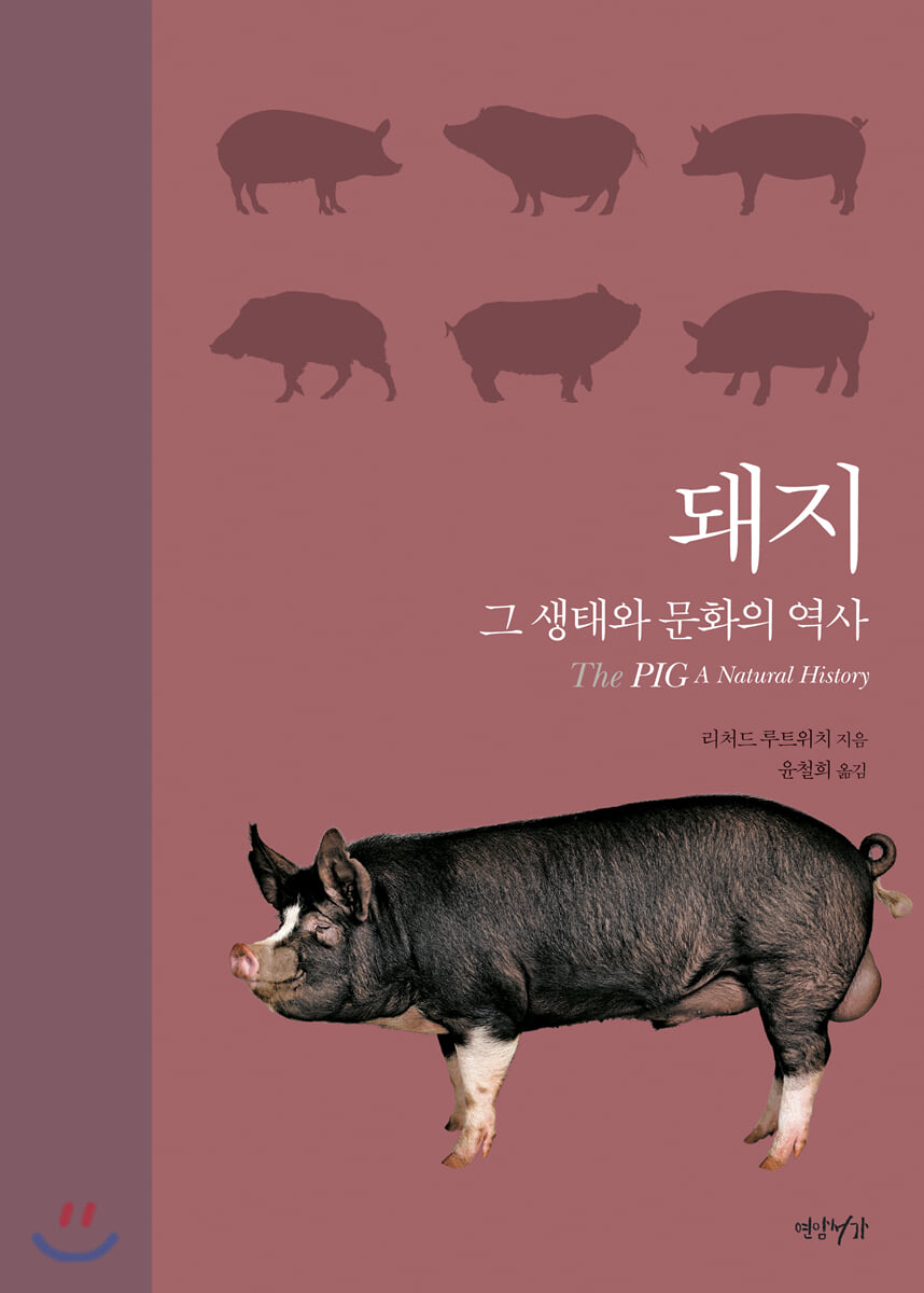 돼지