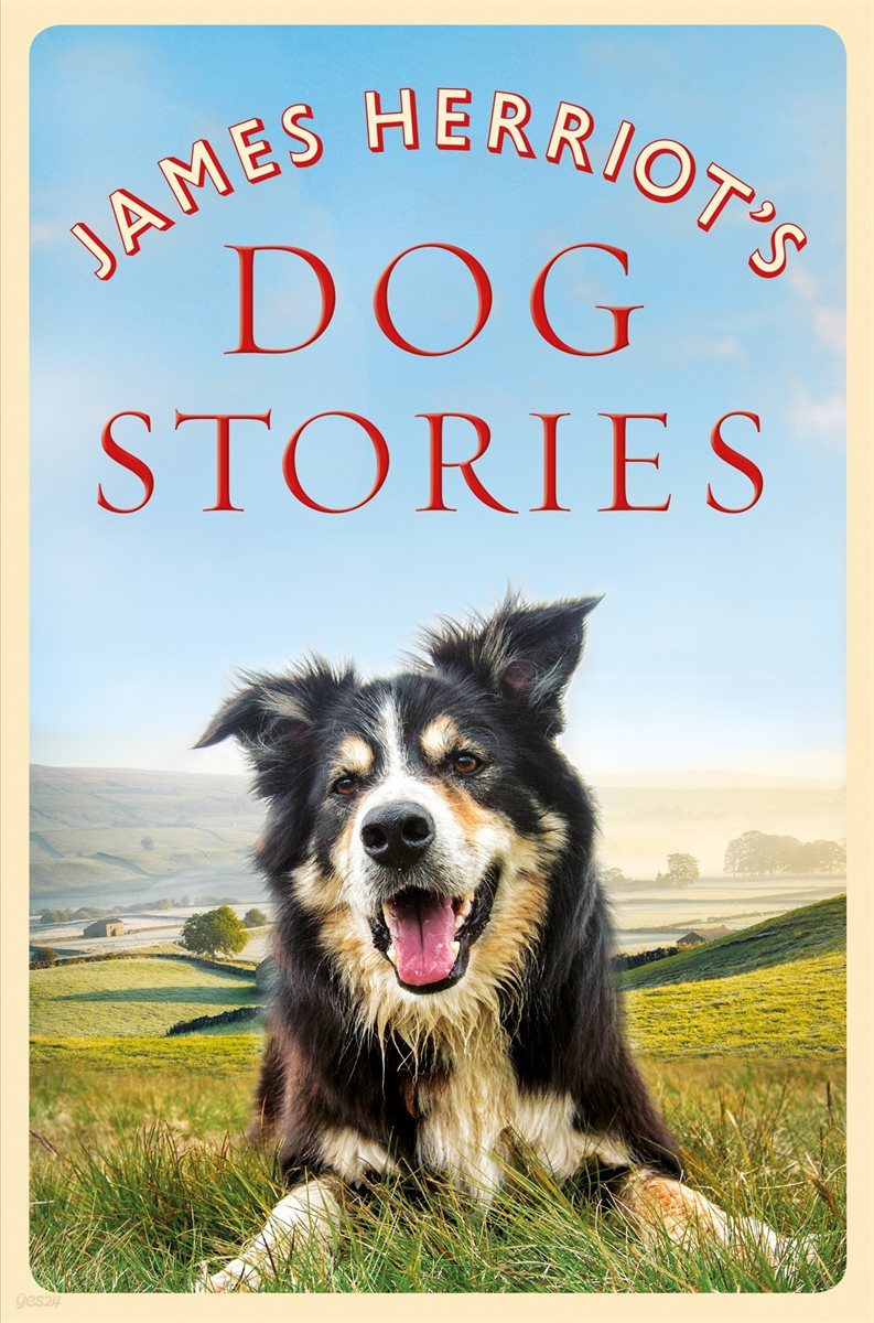 James Herriot&#39;s Dog Stories