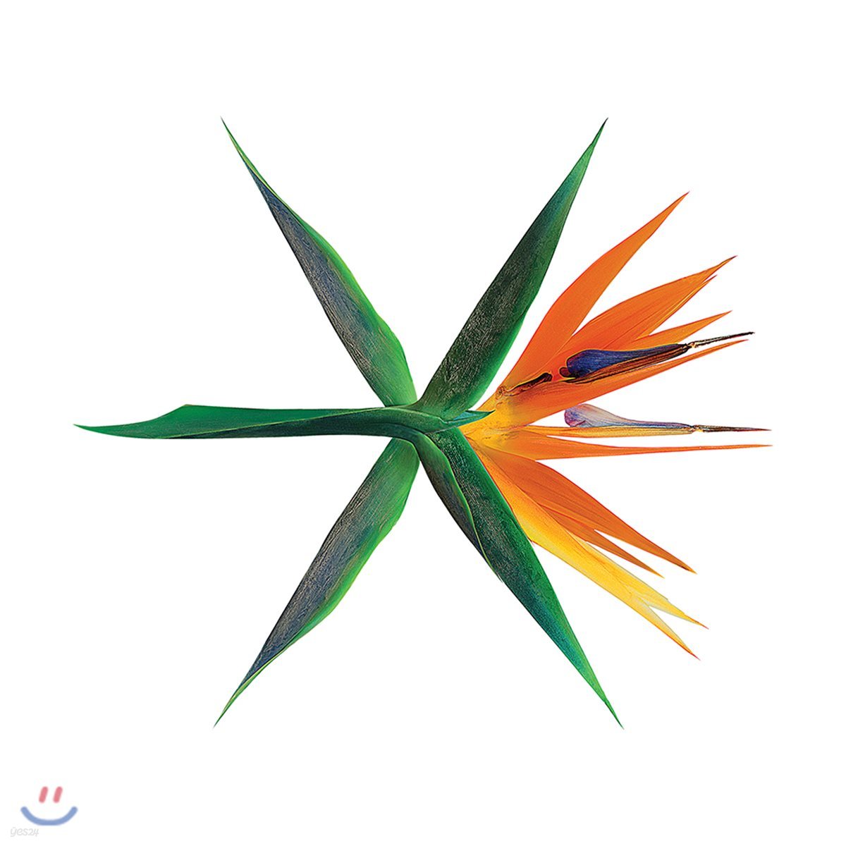 엑소 (EXO) 4집 - The War [Korean ver.][3종 ver. 랜덤 출고]