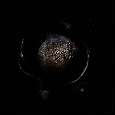 Enthroned — Cold Black Suns 앨범 커버