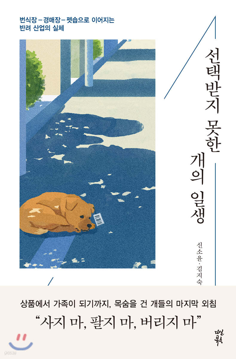 선택받지 못한 개의 일생