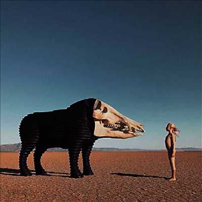 Man Man - Dream Hunting In The Valley Of The In-Between (2LP)