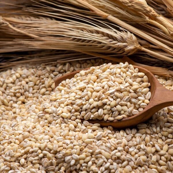 [싸리재] 싸리재 늘보리쌀 늘보리밥 [유기농 늘보리 1kg] 보리쌀 - 인공화학첨가물 0% 우리 농산물로 만듭니다