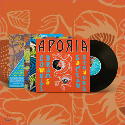 Sufjan Stevens, Lowell Brams — Aporia 앨범 커버