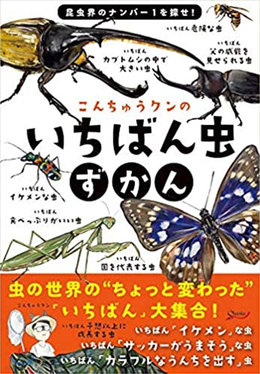 こんちゅうクンのいちばん蟲ずかん