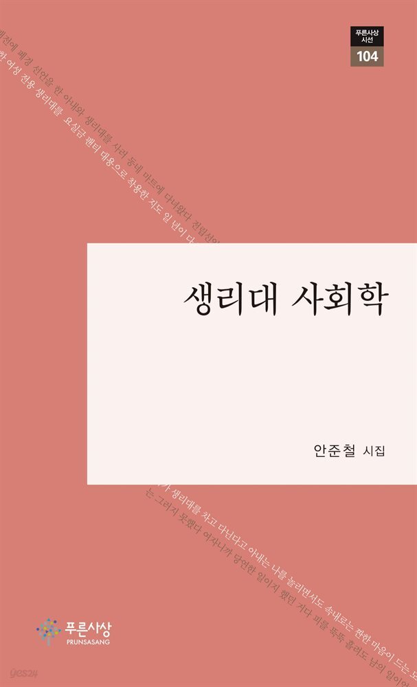 생리대 사회학