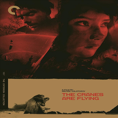 The Cranes Are Flying (Criterion Collection) ( ) (1957)(ڵ1)(ѱ۹ڸ)(DVD)