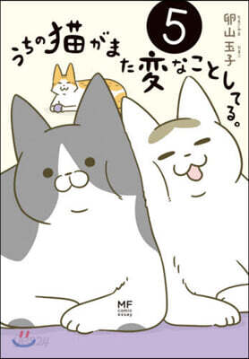 うちの猫がまた變なことしてる。(5)