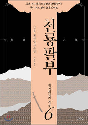 천룡팔부 6