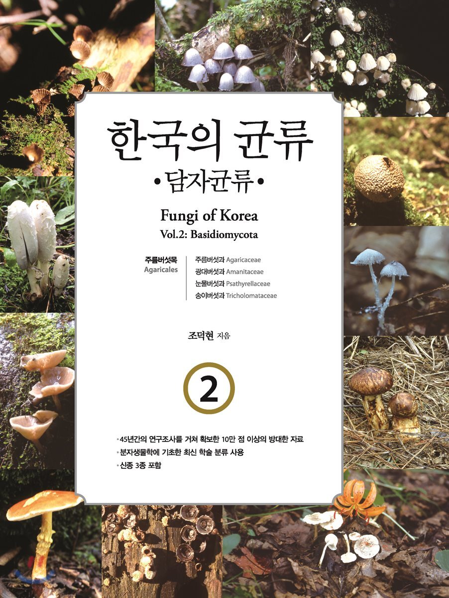 한국의 균류 2 : 담자균류 1