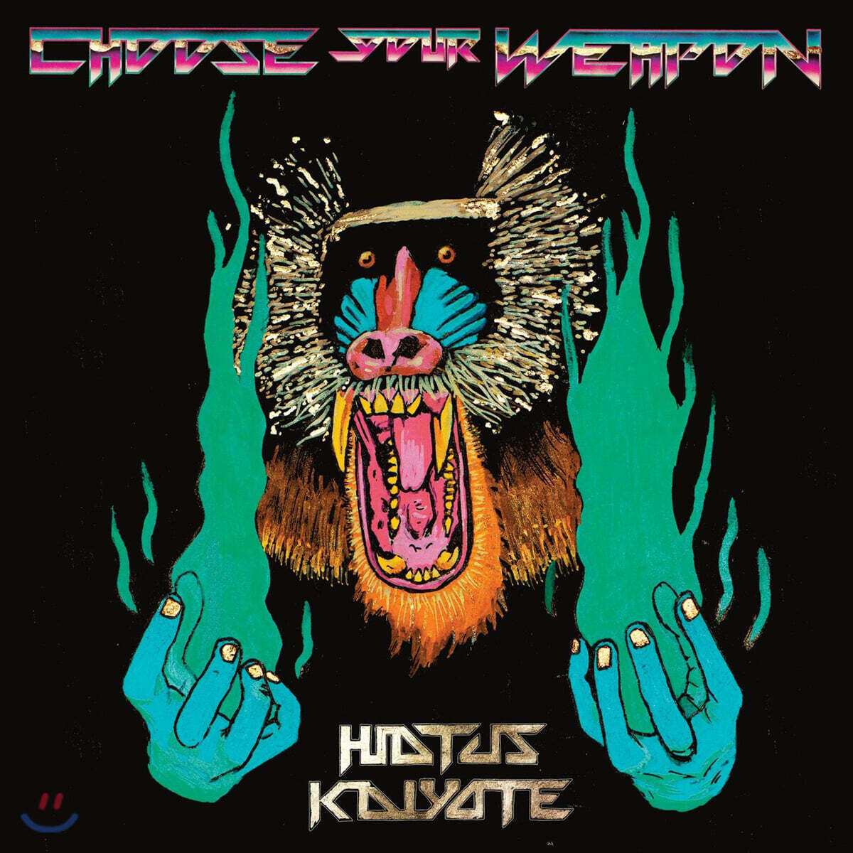 Hiatus Kaiyote (하이에터스 카이요테) - 2집 Choose Your Weapon [핑크 컬러 2LP]