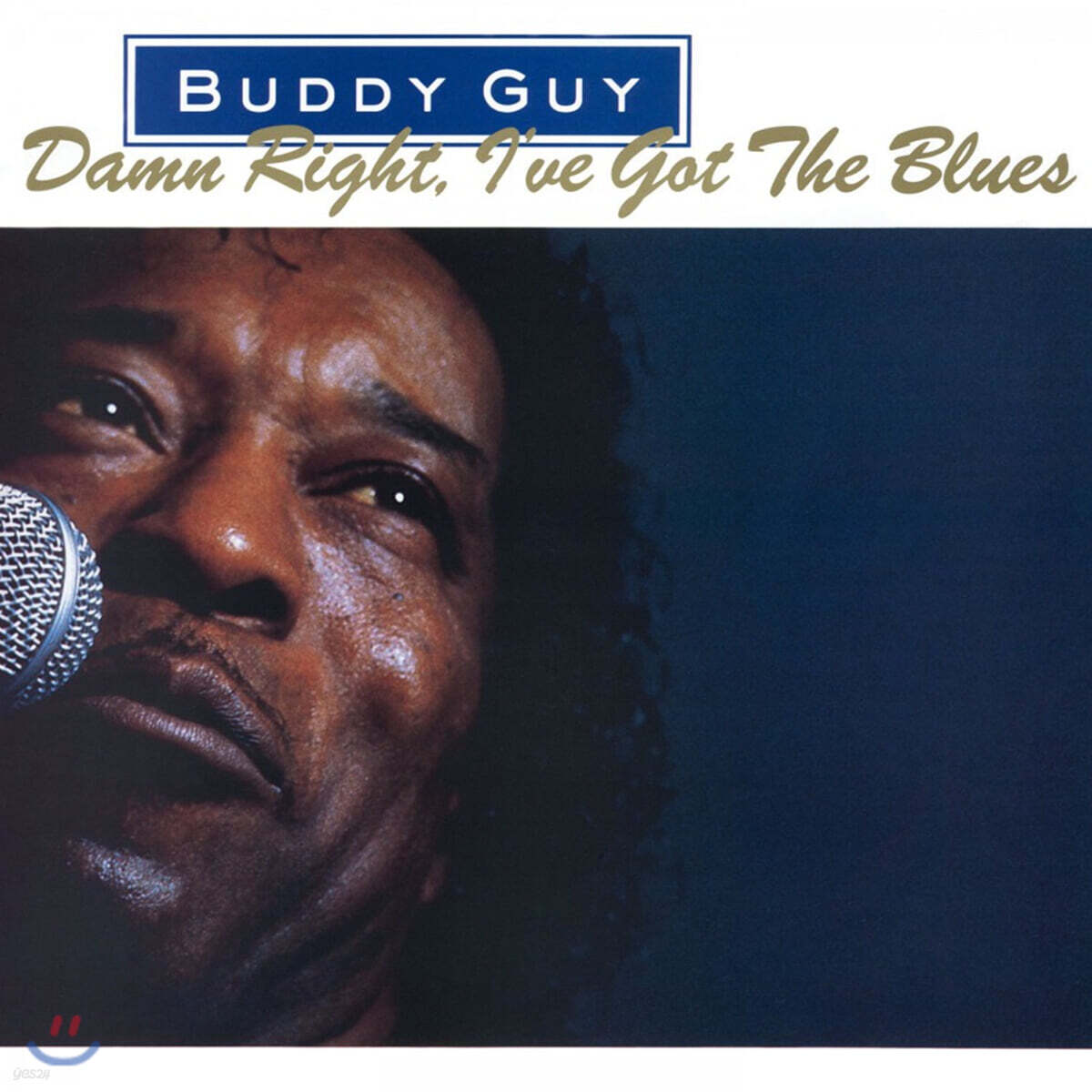 Buddy Guy (버디 가이) - Damn Right, I've Got the Blue [LP]