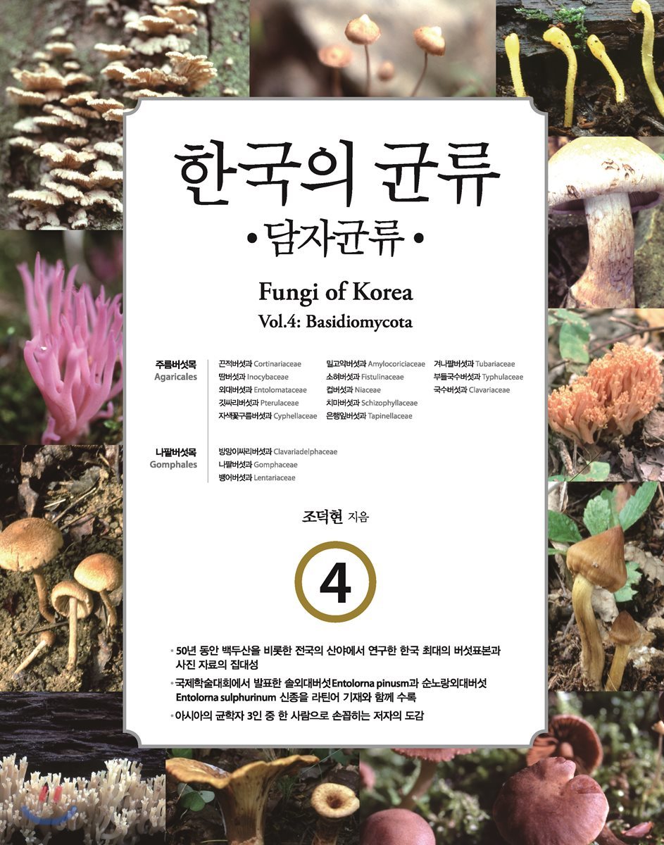 한국의 균류 4 : 담자균류