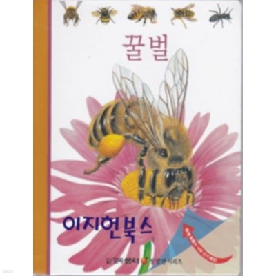 꿀벌(꼬마 샘터 첫 발견 시리즈)[양장/보드북/스프링 제본]