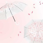 여름신상 벚꽃/베이직 비닐우산 1+1