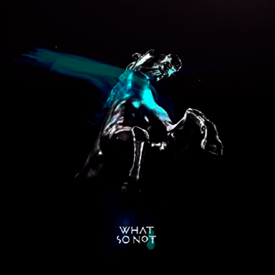 What So Not — Not All The Beautiful Things (Download Card)(Gatefold) 앨범 커버